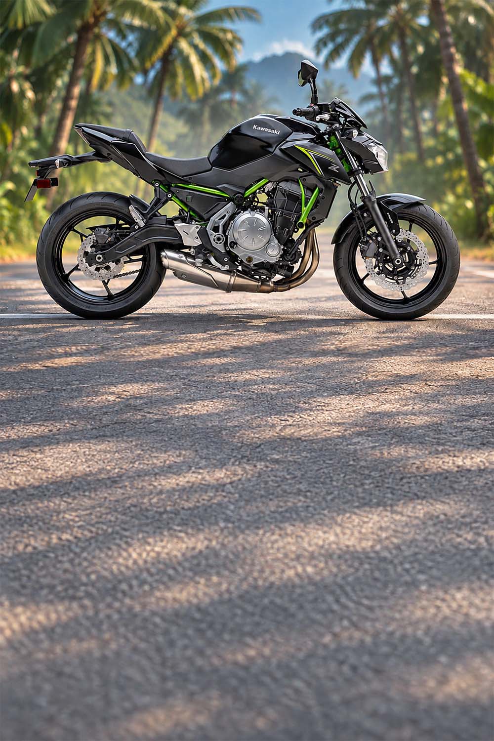 Kawasaki Z650
