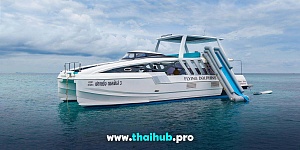 POWERCAT 50 — Dolphin-3 — №1