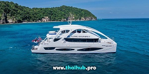 POWERCAT 72 — Dolphin-1 — №10