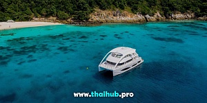 POWERCAT 72 — Dolphin-1 — №4