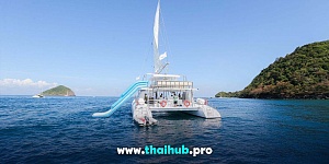 OCEAN VOYAGER 82 — Saffron Seas — №2