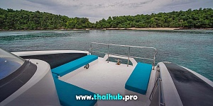 POWERCAT 50 — Dolphin-3 — №24