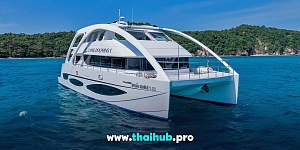 POWERCAT 72 — Dolphin-1 — №12