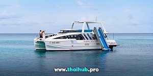 POWERCAT 50 — Dolphin-3 — №10