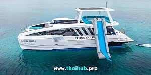 POWERCAT 50 — Dolphin-3 — №8