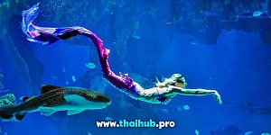 Экскурсии с животными  — Океанариум Aquaria — №23