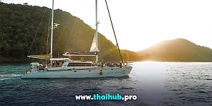 OCEANIC 65 — White Marlin — №10