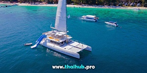 OCEAN VOYAGER 82 — Saffron Seas — №11