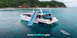 POWERCAT 50 — Dolphin-3 — №3