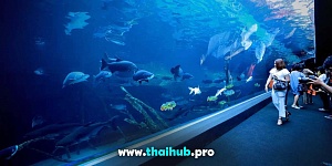 Экскурсии с животными  — Океанариум Aquaria — №47