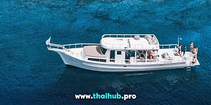 FISHERMAN CUSTOM 54 — Sandey — №10