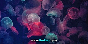 Экскурсии с животными  — Океанариум Aquaria — №2