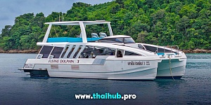 POWERCAT 50 — Dolphin-3 — №28