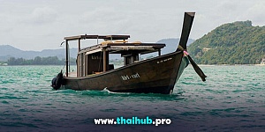 LONGTAIL 40 — Kiri Vari — №5