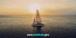 OCEAN VOYAGER 78 — Lobster — №21