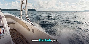AL DHAEN BOAT 38 — Vice — №13