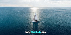 OCEAN VOYAGER 78 — Lobster — №1