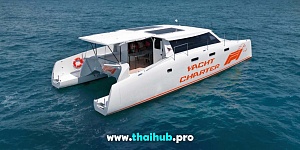 Stealth 42 — Power Cat - F1 — №3
