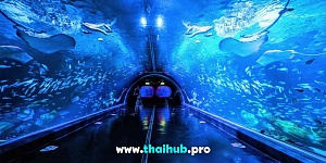Экскурсии с животными  — Океанариум Aquaria — №29