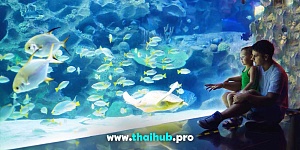 Экскурсии с животными  — Океанариум Aquaria — №6