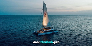 OCEAN VOYAGER 78 — Lobster — №9