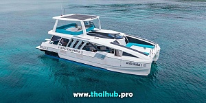POWERCAT 50 — Dolphin-3 — №31