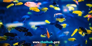 Экскурсии с животными  — Океанариум Aquaria — №31