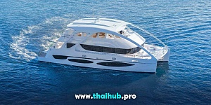POWERCAT 72 — Dolphin-1 — №2