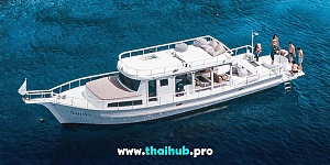 FISHERMAN CUSTOM 54 — Sandey — №2