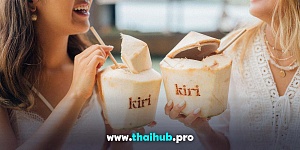 LONGTAIL 40 — Kiri Vari — №8