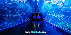 Экскурсии с животными  — Океанариум Aquaria — №17