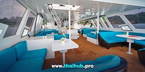 POWERCAT 50 — Dolphin-3 — №19