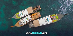 LONGTAIL 44 — Mata Family — №1