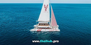 OCEAN VOYAGER 78 — Lobster — №2