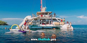 OCEAN VOYAGER 78 — Lobster — №41