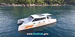 Stealth 42 — Power Cat - F1 — №14