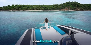 POWERCAT 50 — Dolphin-3 — №30