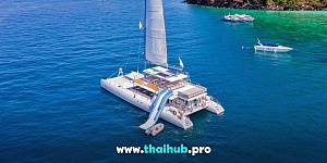 OCEAN VOYAGER 82 — Saffron Seas — №12