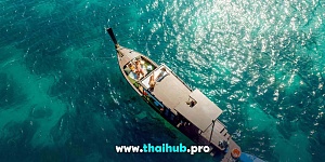 LONGTAIL 40 — Kiri Vari — №14
