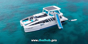 POWERCAT 50 — Dolphin-3 — №17