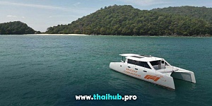 Stealth 42 — Power Cat - F1 — №19