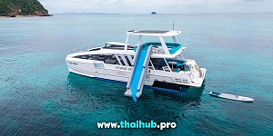 POWERCAT 50 — Dolphin-3 — №16