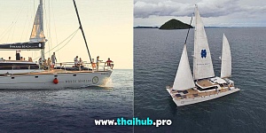 OCEANIC 65 — White Marlin — №6