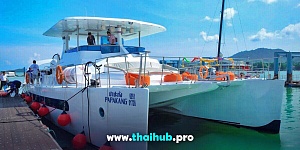 OCEANCAT 65 — Papakang — №4