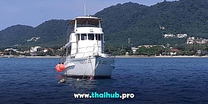 FISHERMAN 49 — Prapis Ten — №12