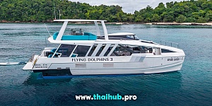 POWERCAT 50 — Dolphin-3 — №21