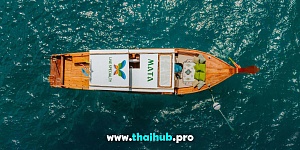 LONGTAIL 44 — Mata Family — №12
