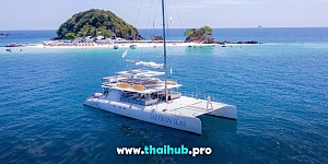 OCEAN VOYAGER 82 — Saffron Seas — №13