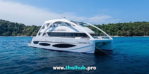 POWERCAT 72 — Dolphin-1 — №1