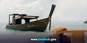 LONGTAIL 40 — Kiri Vari — №19